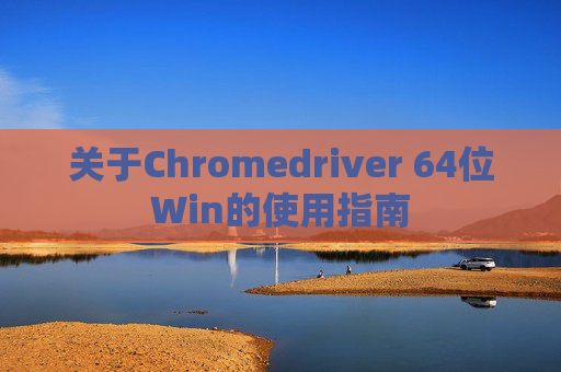 关于Chromedriver 64位Win的使用指南