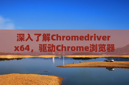 深入了解Chromedriver x64，驱动Chrome浏览器的关键工具