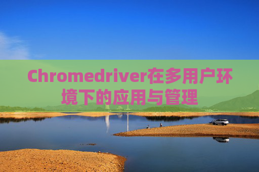 Chromedriver在多用户环境下的应用与管理